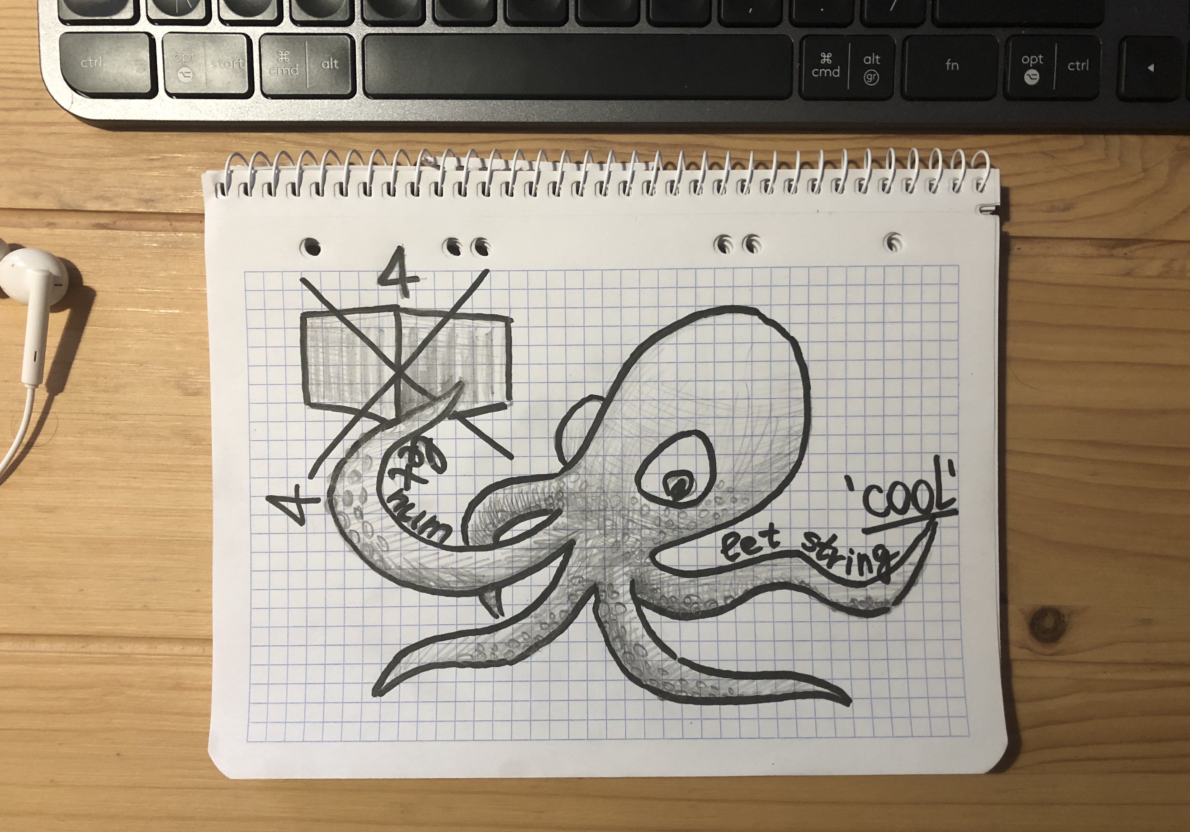 octopus